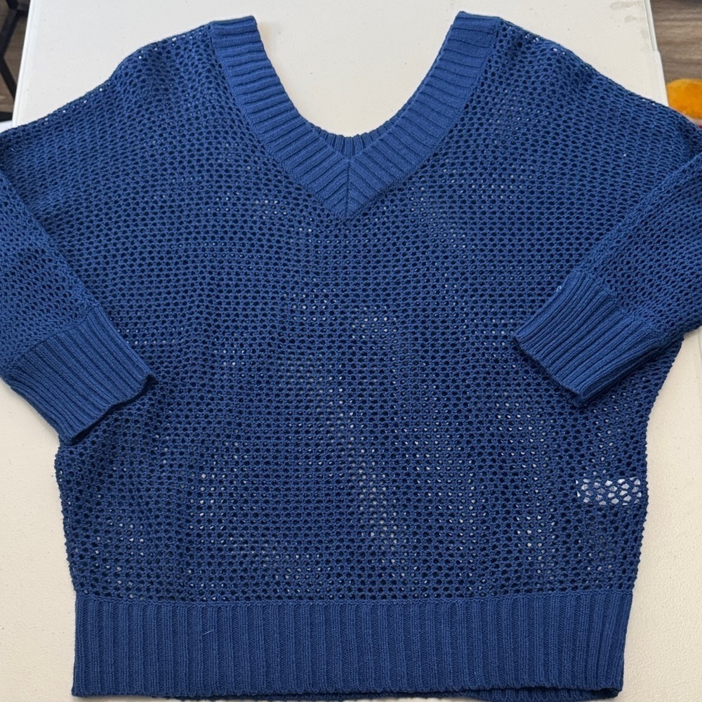 Express Blue V-Neck Sweater